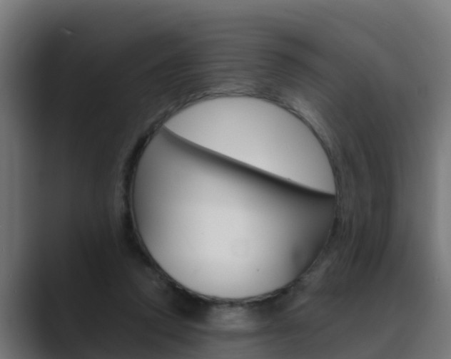 X0000089890354200706281115