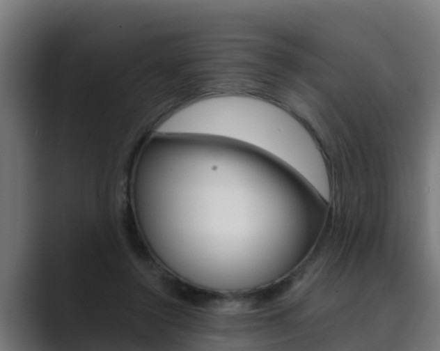 X0000089890356200706281115