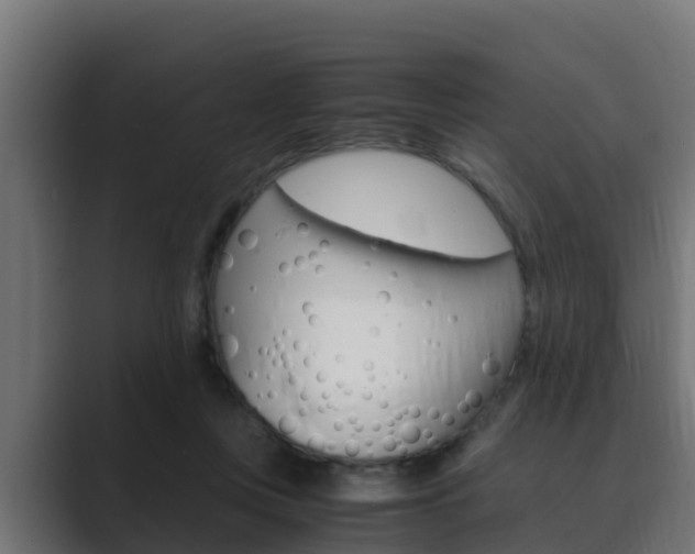 X0000089890359200706281115