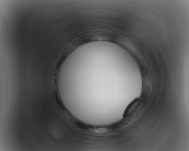 X0000089890361200706281115
