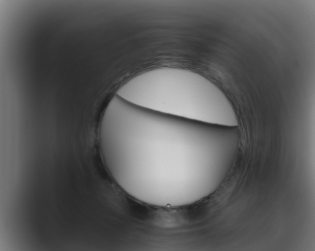 X0000089890367200706281115