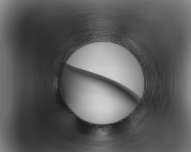 X0000089890368200706281115