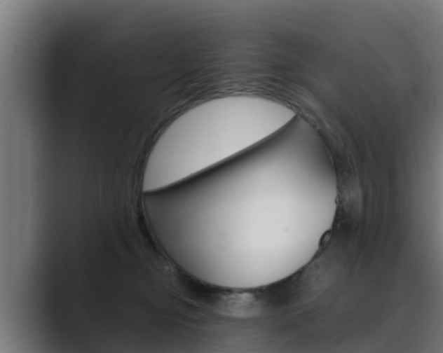 X0000089890374200706281115