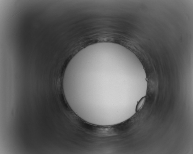 X0000089890375200706281115
