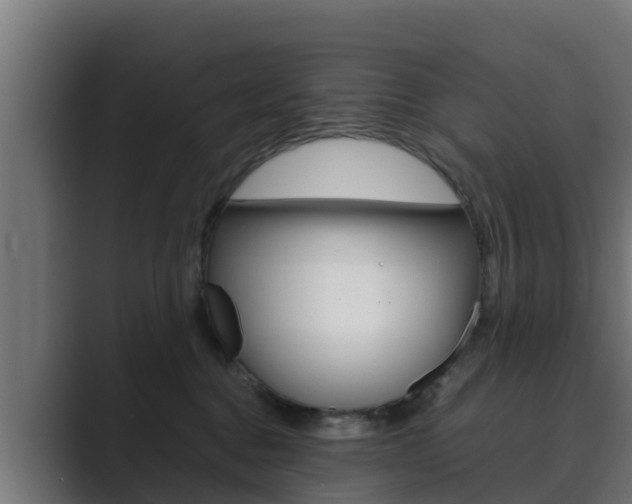 X0000089890376200706281115
