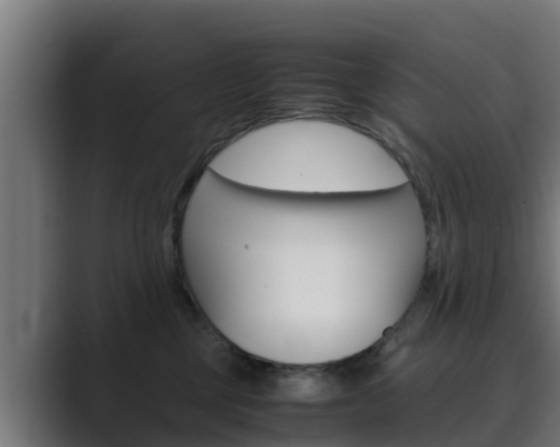 X0000089890377200706281115