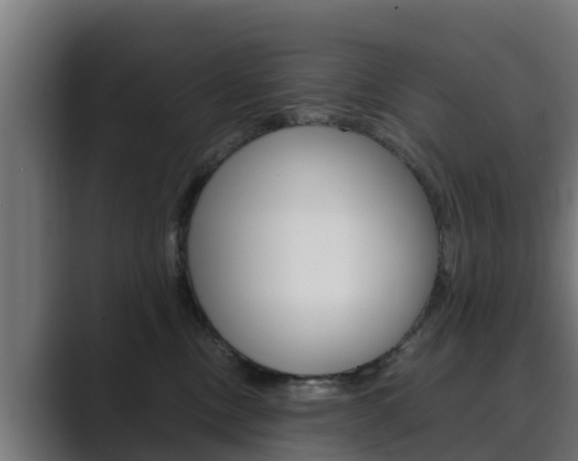 X0000089890378200706281115