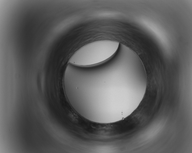 X0000089890382200706281115