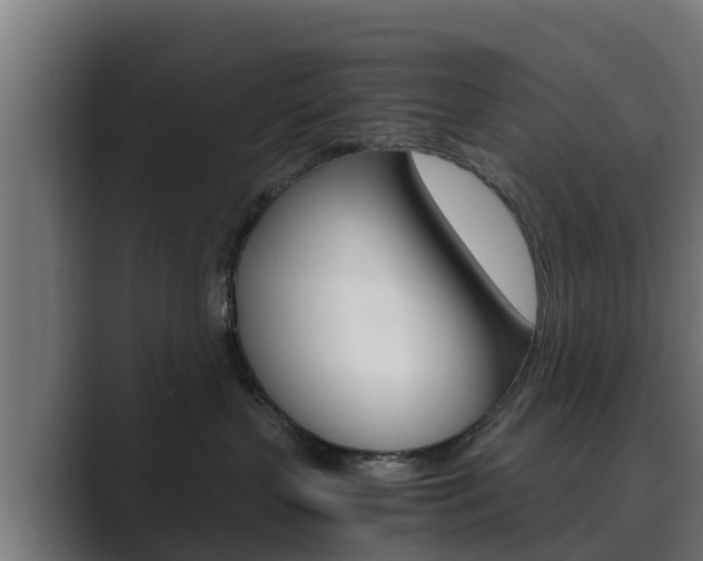 X0000089890383200706281115