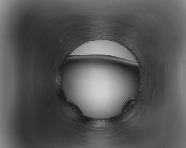 X0000089890384200706281115