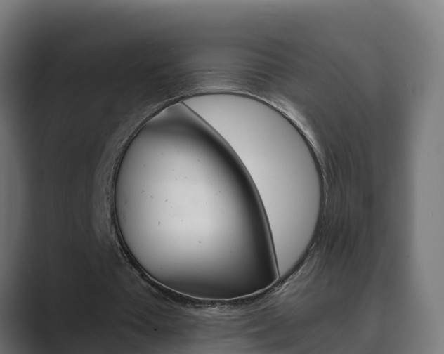 X0000089890385200706281115