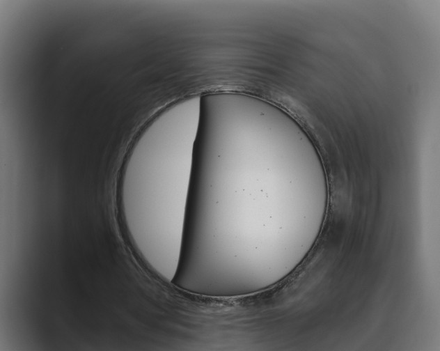 X0000089890386200706281115