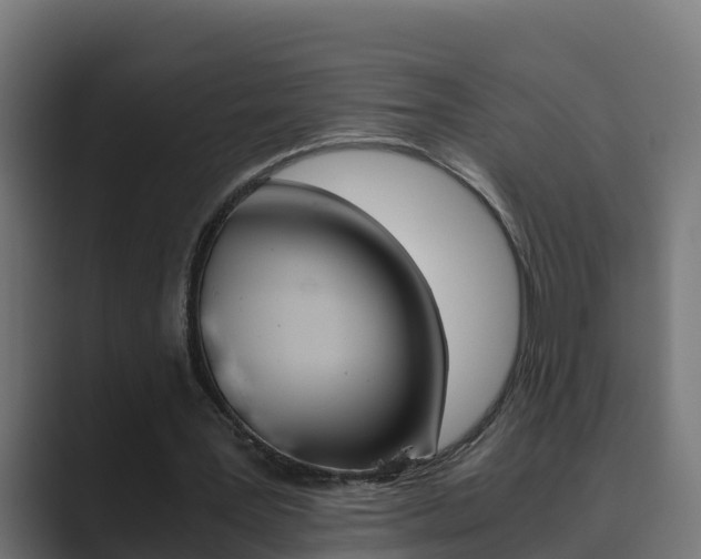 X0000089890387200706281115