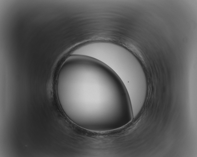 X0000089890388200706281115