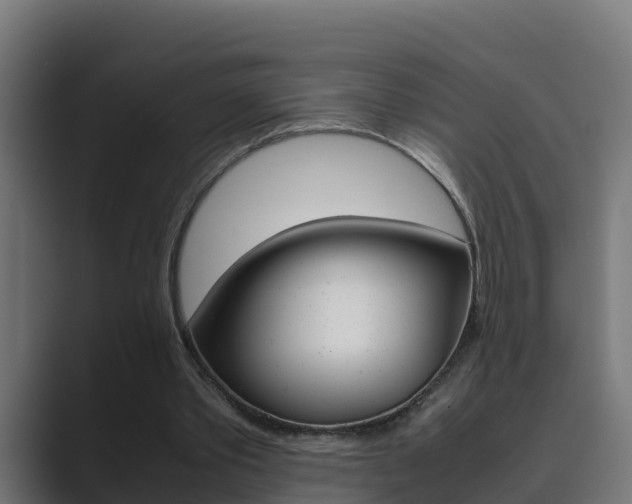 X0000089890389200706281115