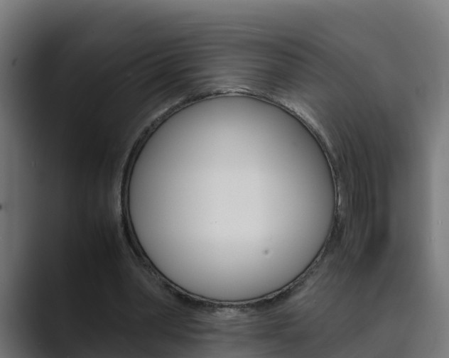 X0000089890390200706281115