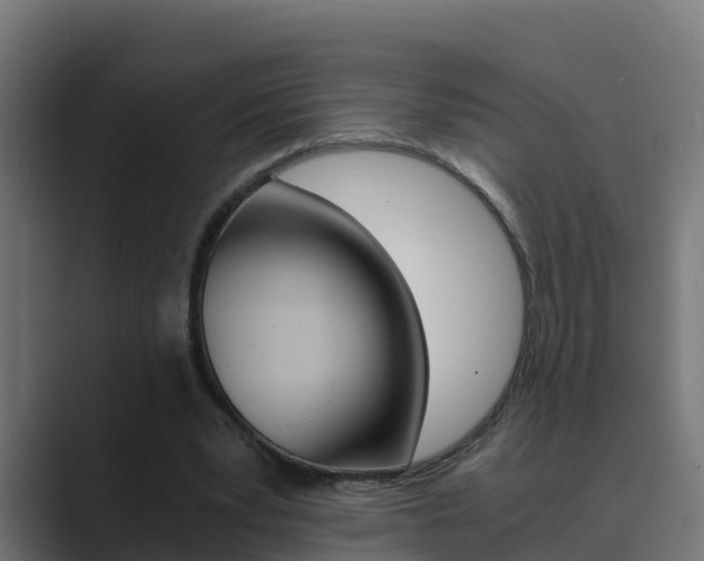 X0000089890391200706281115