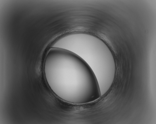 X0000089890392200706281115