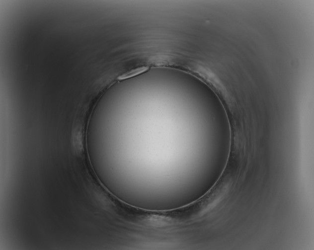 X0000089890393200706281115