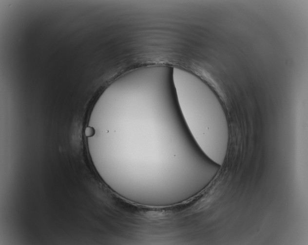 X0000089890394200706281115