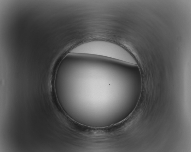 X0000089890395200706281115