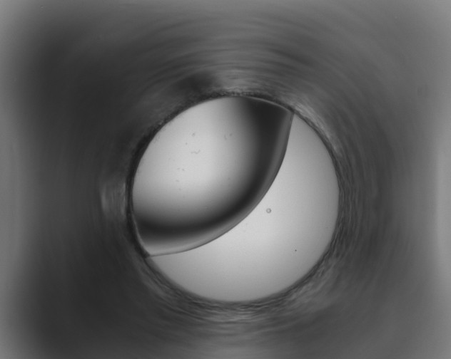 X0000089890397200706281114