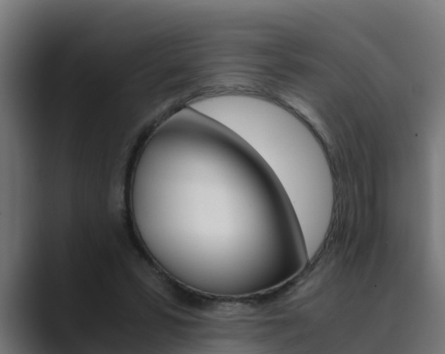 X0000089890399200706281114