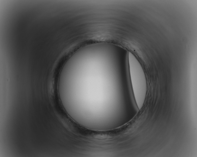 X0000089890400200706281114