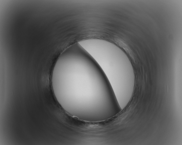 X0000089890401200706281114