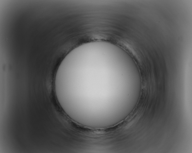 X0000089890402200706281114