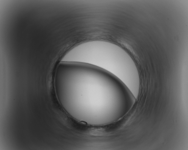 X0000089890403200706281114
