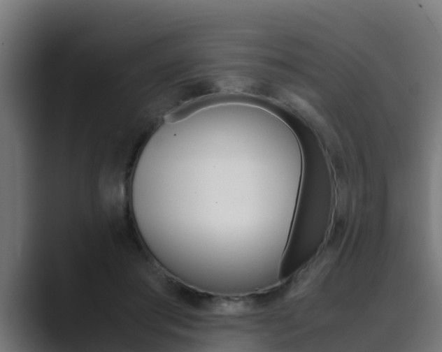 X0000089890405200706281114