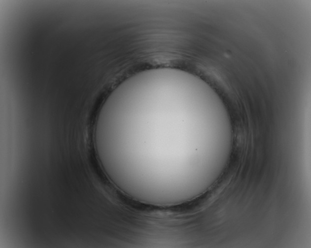 X0000089890408200706281114