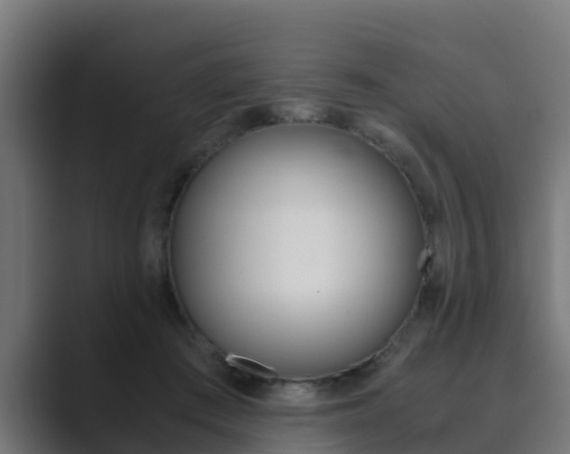X0000089890409200706281114