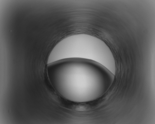 X0000089890412200706281114
