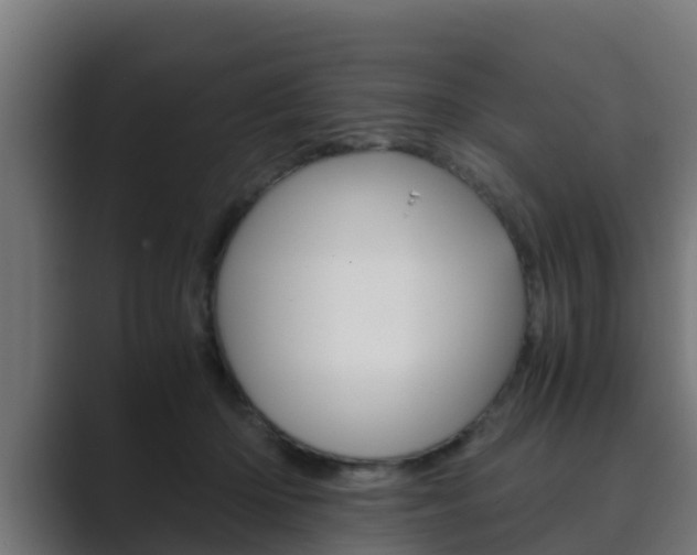X0000089890414200706281114