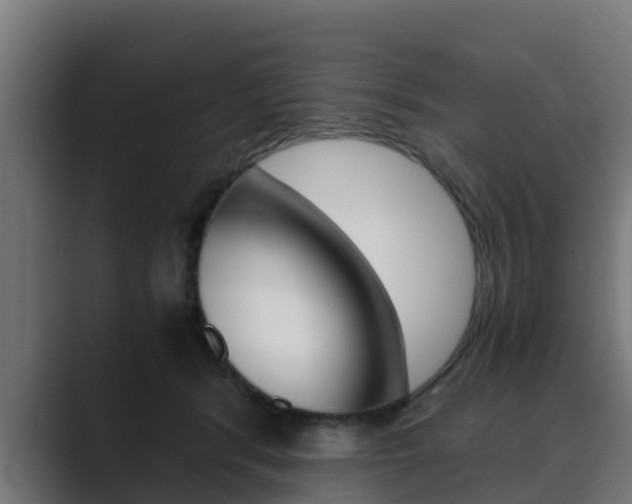X0000089890416200706281114
