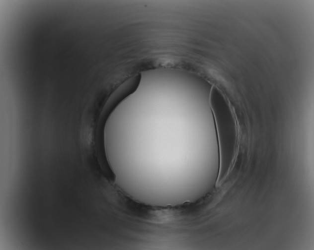 X0000089890417200706281114