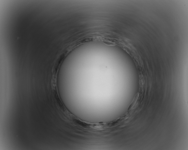 X0000089890419200706281114
