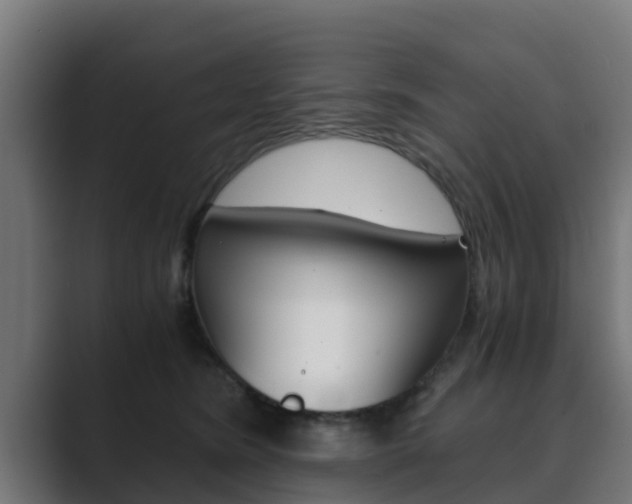 X0000089890420200706281114