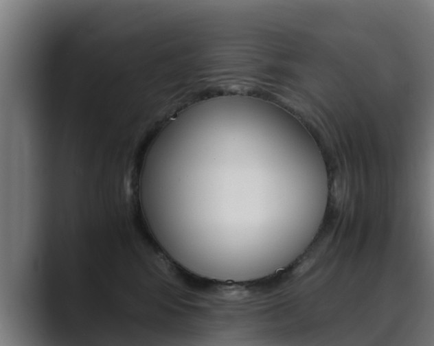 X0000089890424200706281114