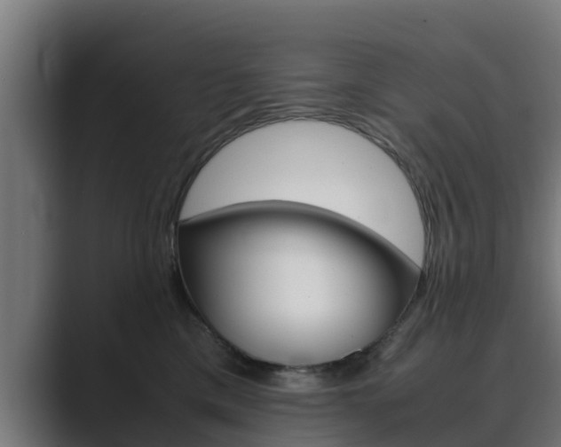X0000089890425200706281114