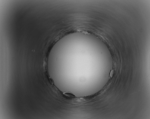 X0000089890427200706281114