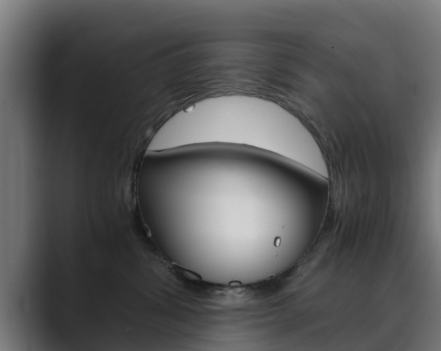 X0000089890428200706281114