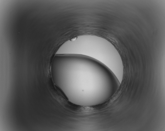 X0000089890429200706281114