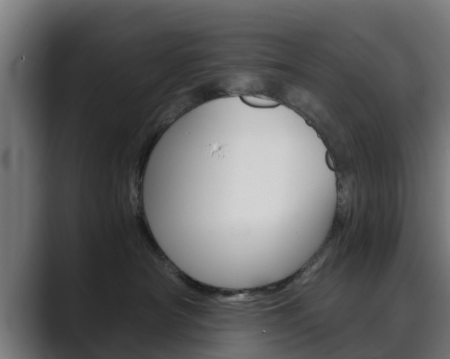 X0000089890430200706281114