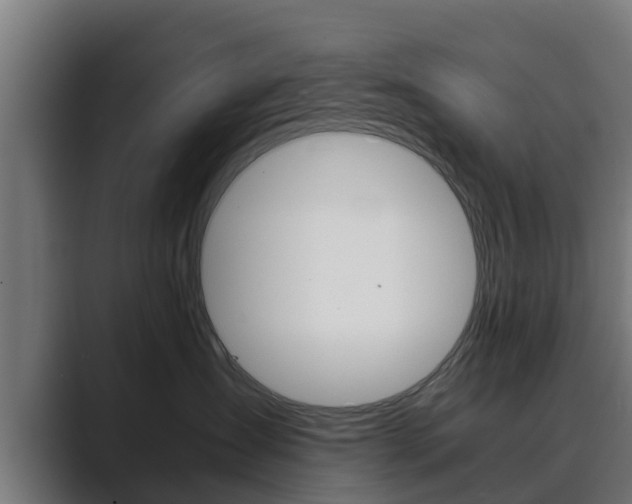 X0000089890431200706281114
