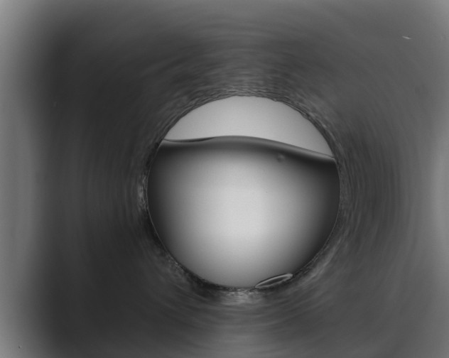 X0000089890432200706281114