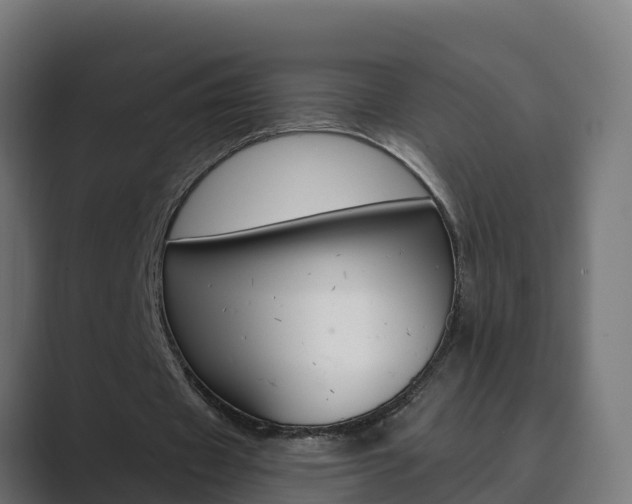 X0000089890433200706281113