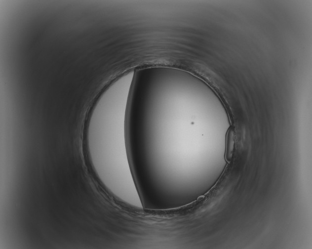 X0000089890434200706281113